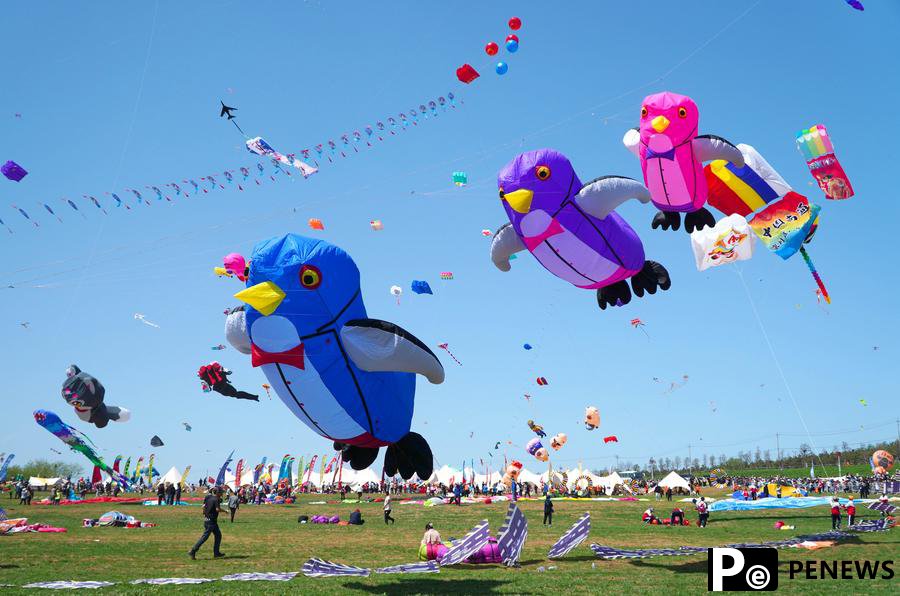 Annual kite gala kicks off in E China