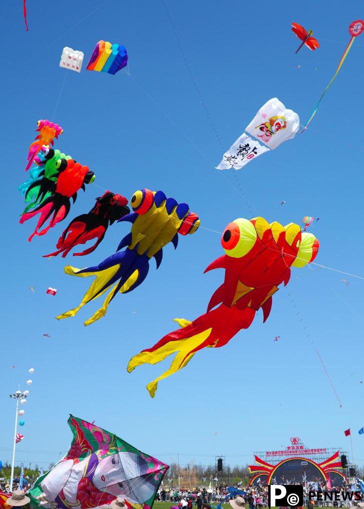 Annual kite gala kicks off in E China