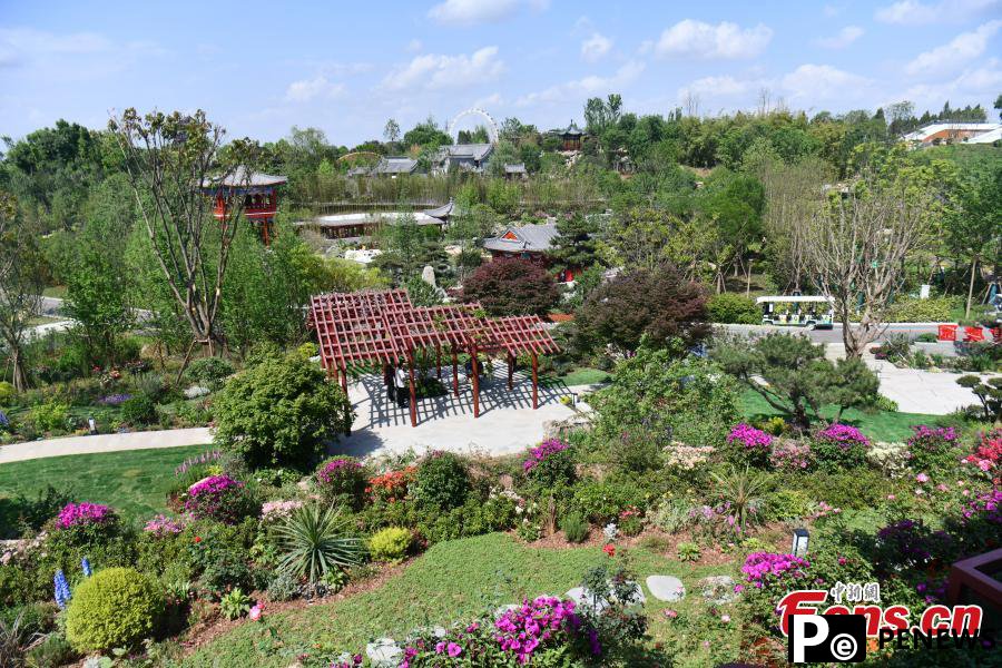 Preview of International Horticultural Exhibition 2024 Chengdu