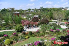 Preview of International Horticultural Exhibition 2024 Chengdu