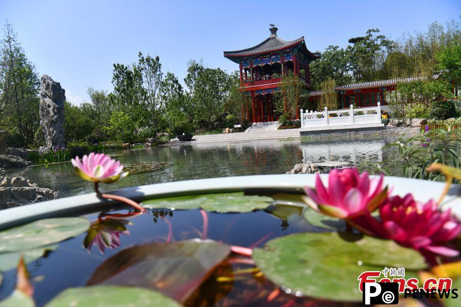 Preview of International Horticultural Exhibition 2024 Chengdu