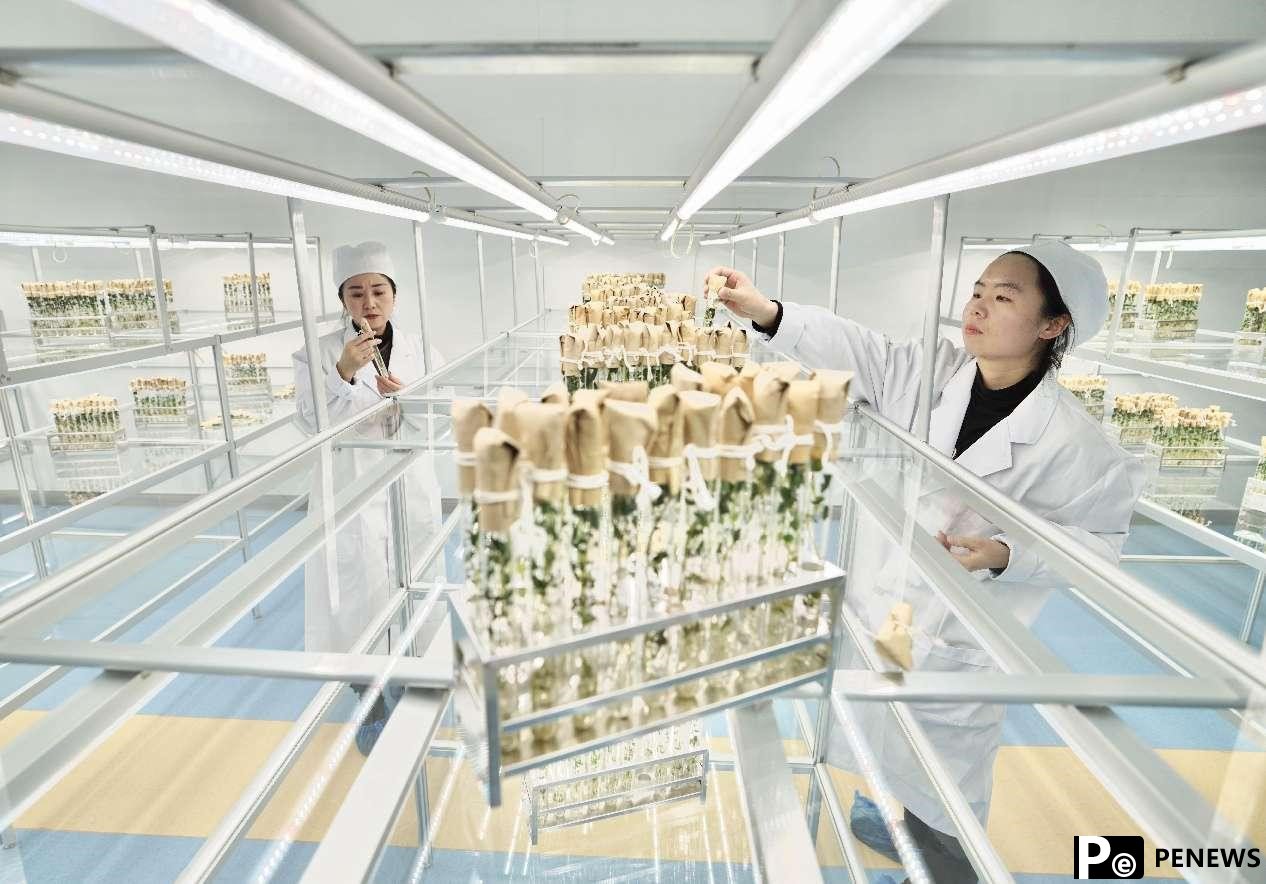 Aerospace technologies widely applied in China to improve people