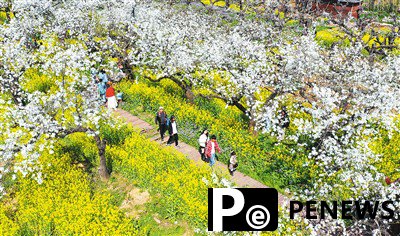 Eco-tourism injects vitality into beautiful, harmonious countryside