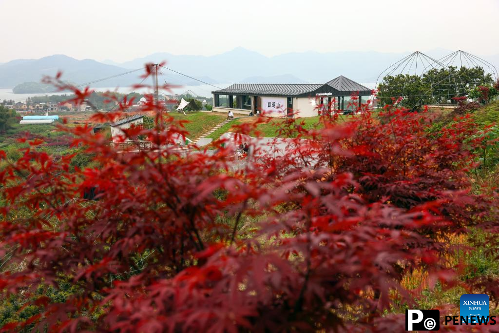 Young entrepreneur promotes high quality growth of agritourism in China