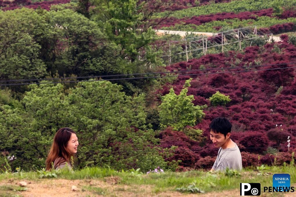 Young entrepreneur promotes high quality growth of agritourism in China