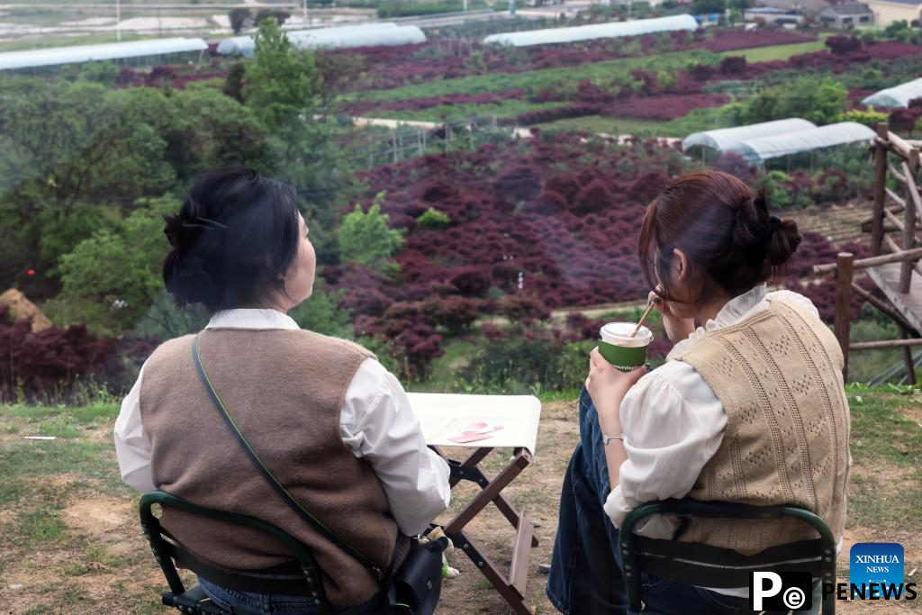 Young entrepreneur promotes high quality growth of agritourism in China