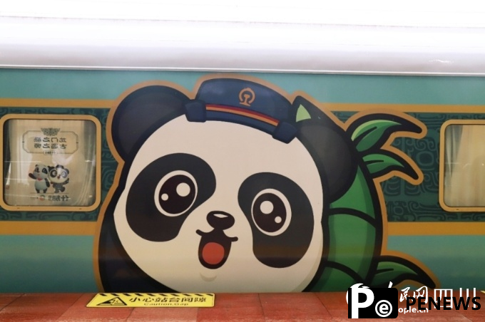 Chengdu debuts giant panda-themed tourist train