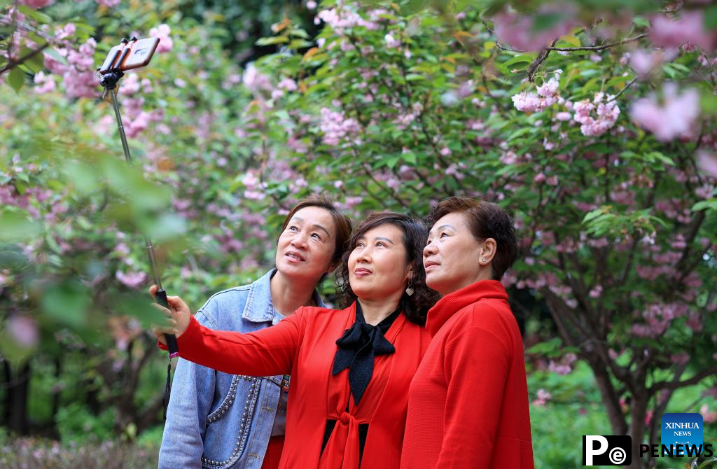 People enjoy outdoor activities as spring flowers bloom across China