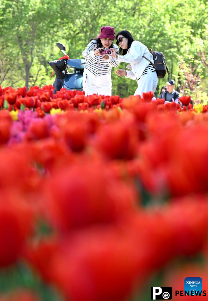 People enjoy outdoor activities as spring flowers bloom across China