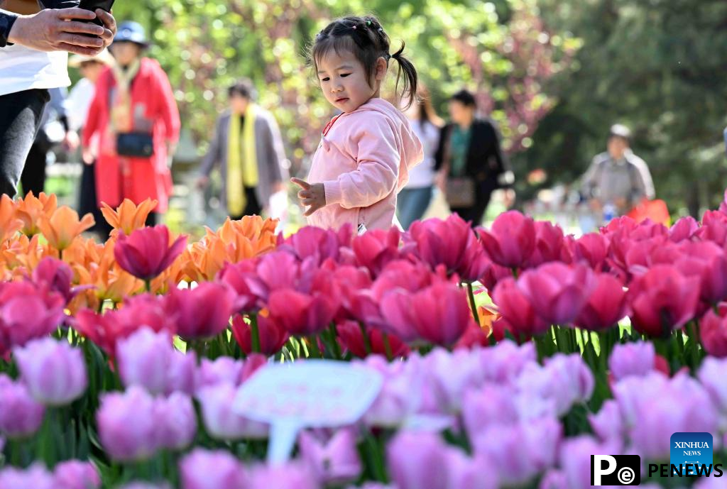 People enjoy outdoor activities as spring flowers bloom across China