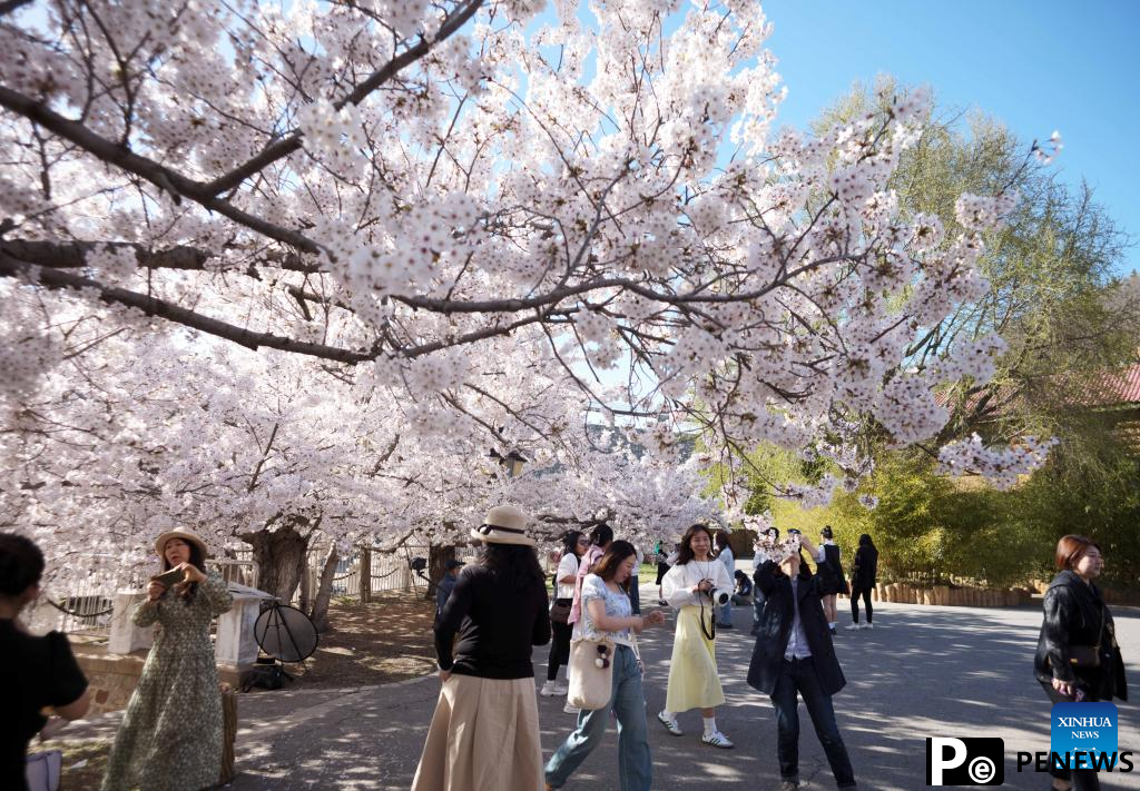 Tourists enjoy themselves in Dalian, NE China