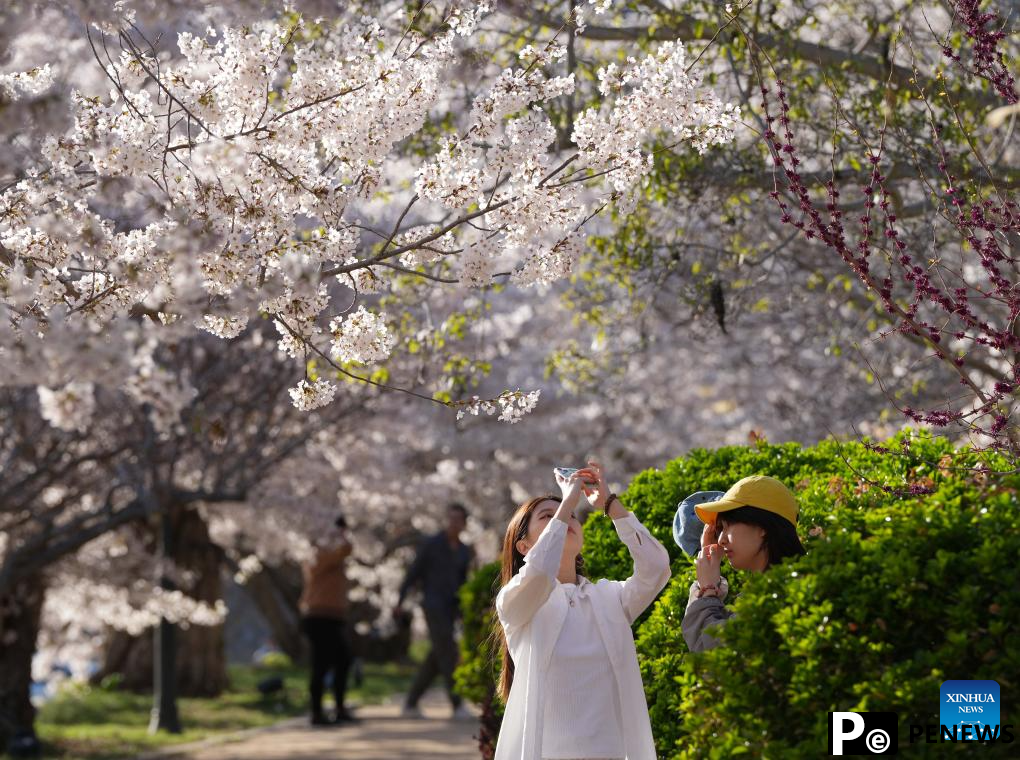 Tourists enjoy themselves in Dalian, NE China