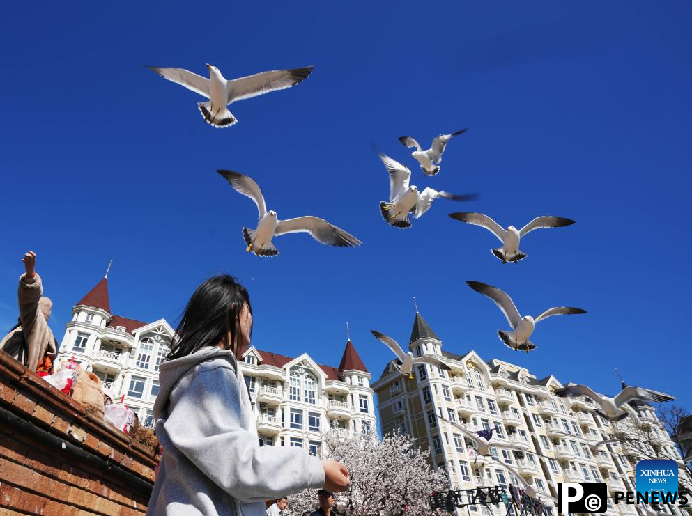 Tourists enjoy themselves in Dalian, NE China
