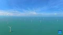 A glimpse of Guangxi's first wind power demonstration project