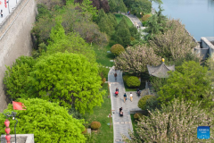 People enjoy springtime in Xi'an, NW China