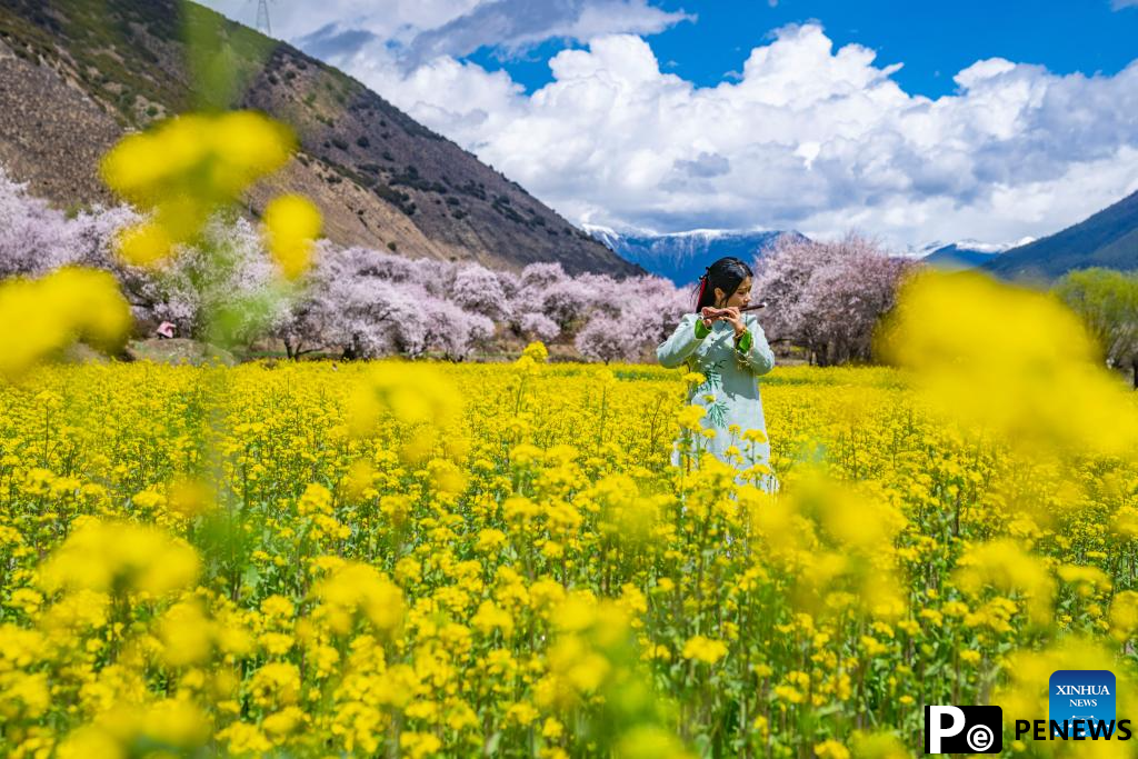 View of blooming flowers in China