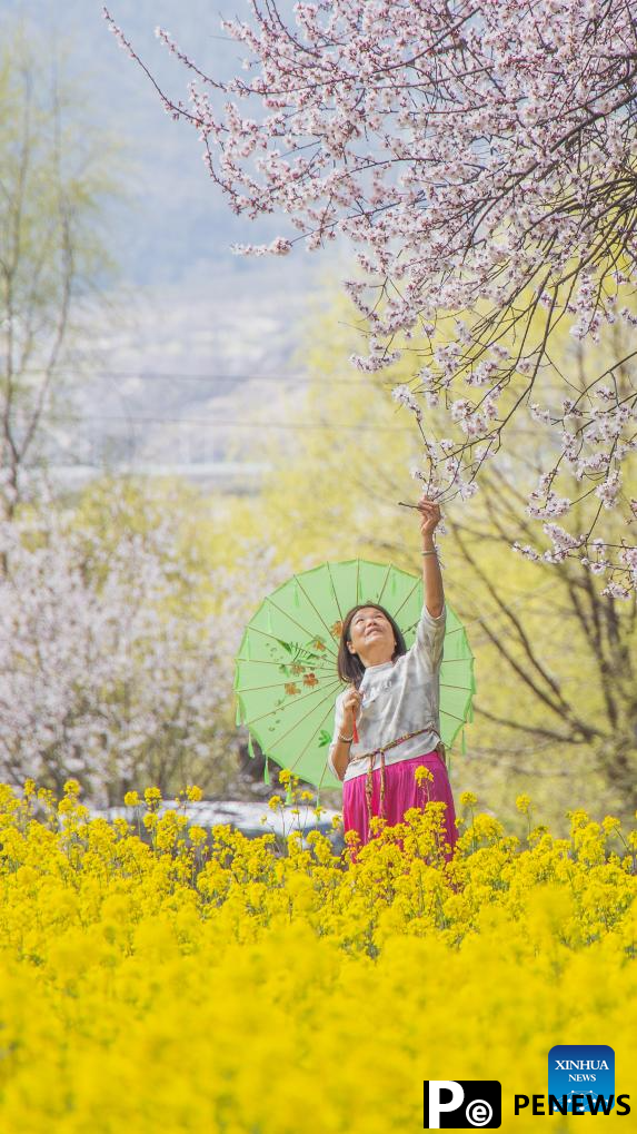 View of blooming flowers in China