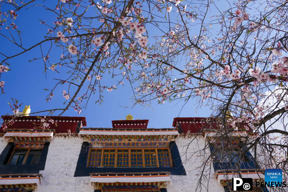 View of blooming flowers in China