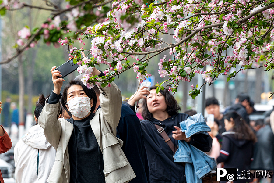 People savor beautiful sights of spring flowers across China