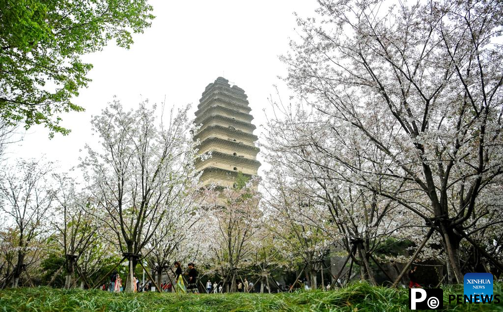 NW China