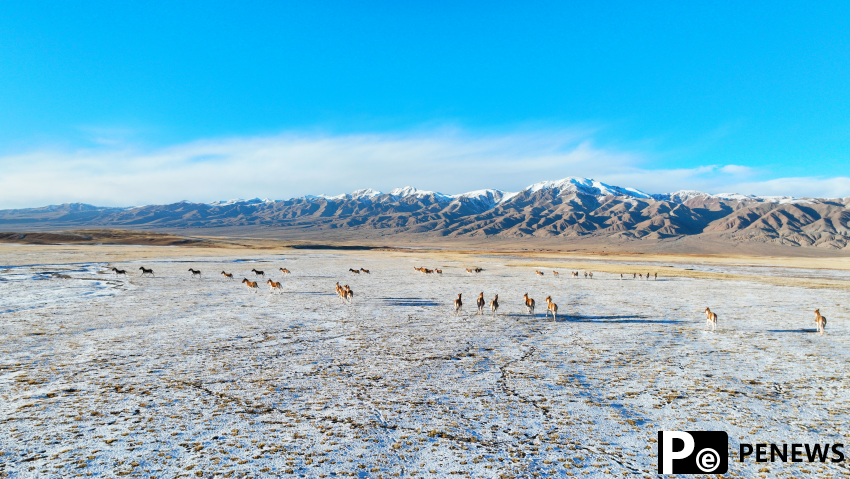 Discover the magical Qaidam Basin in NW China