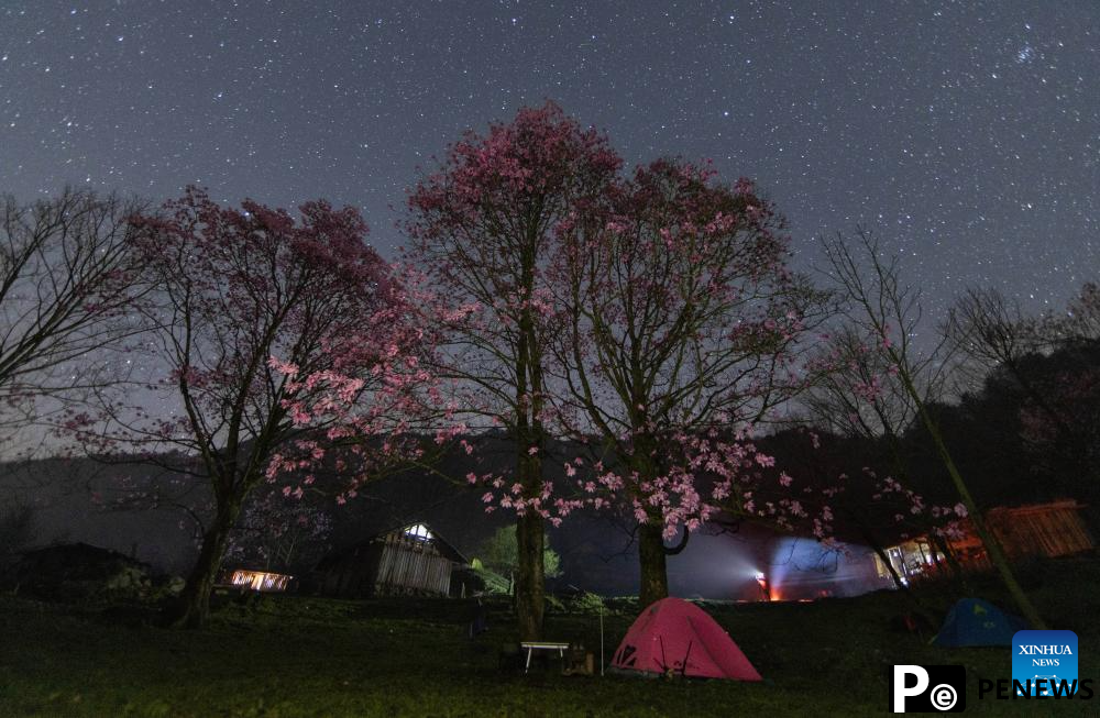 In pics: blooming magnolia flowers in village of SW China