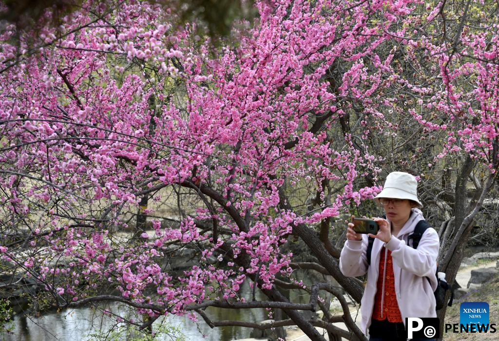 Tourists visit Yuanmingyuan Park in Beijing