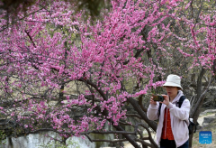 Tourists visit Yuanmingyuan Park in Beijing