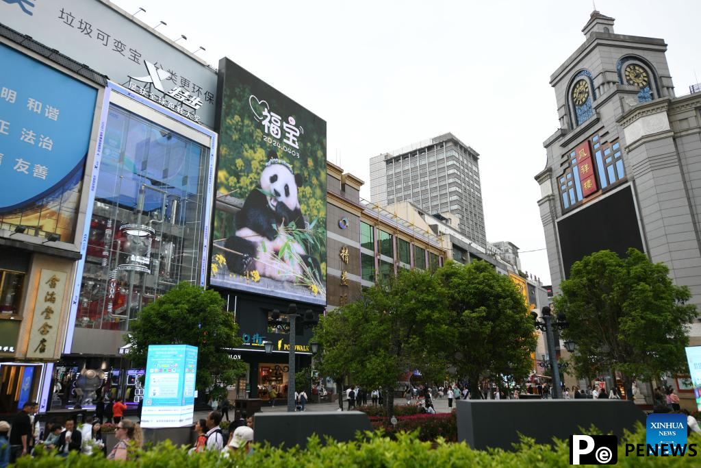 ROK-born giant panda Fu Bao returns to China