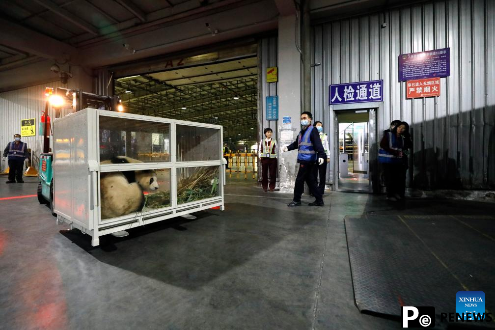 ROK-born giant panda Fu Bao returns to China