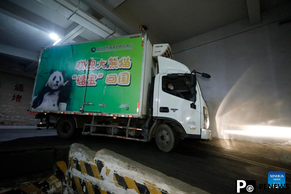 ROK-born giant panda Fu Bao returns to China