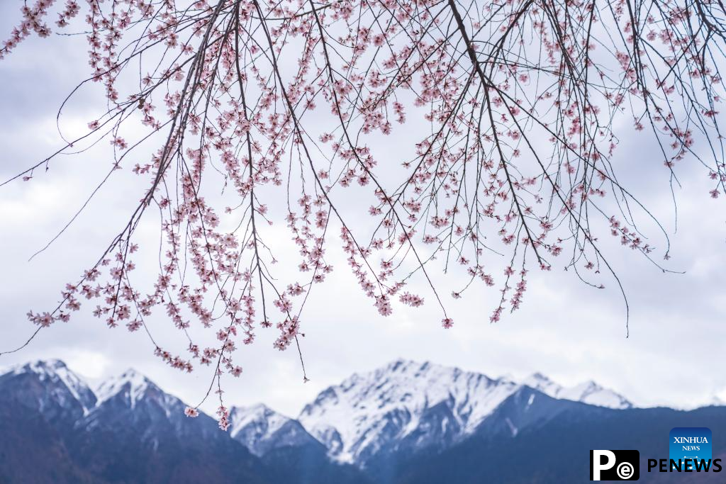 Scenery of Mount Namjagbarwa in Xizang