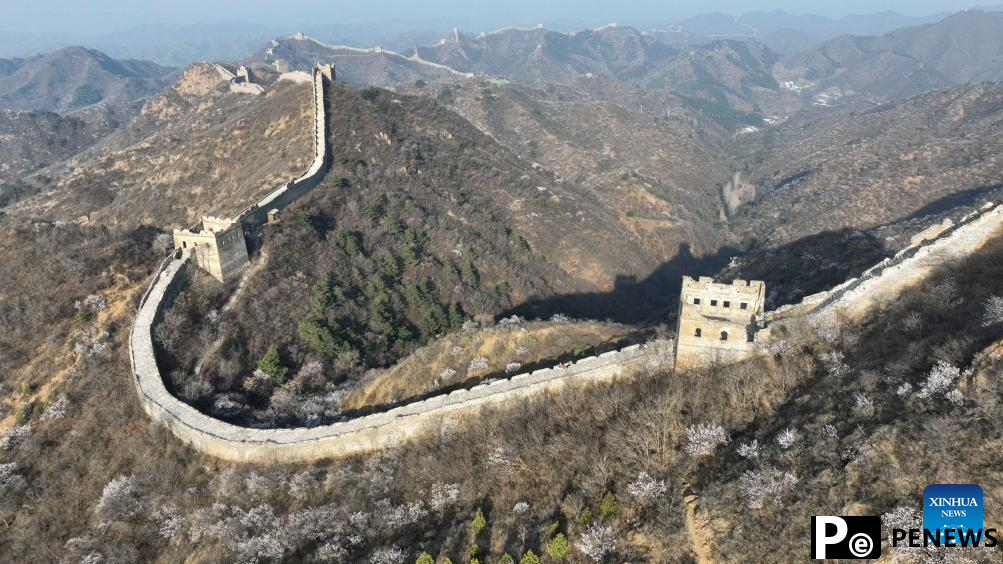 Spring scenery of Great Wall in N China