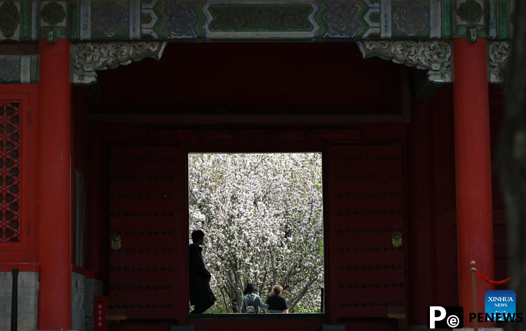 In pics: blooming flowers at Palace Museum in Beijing