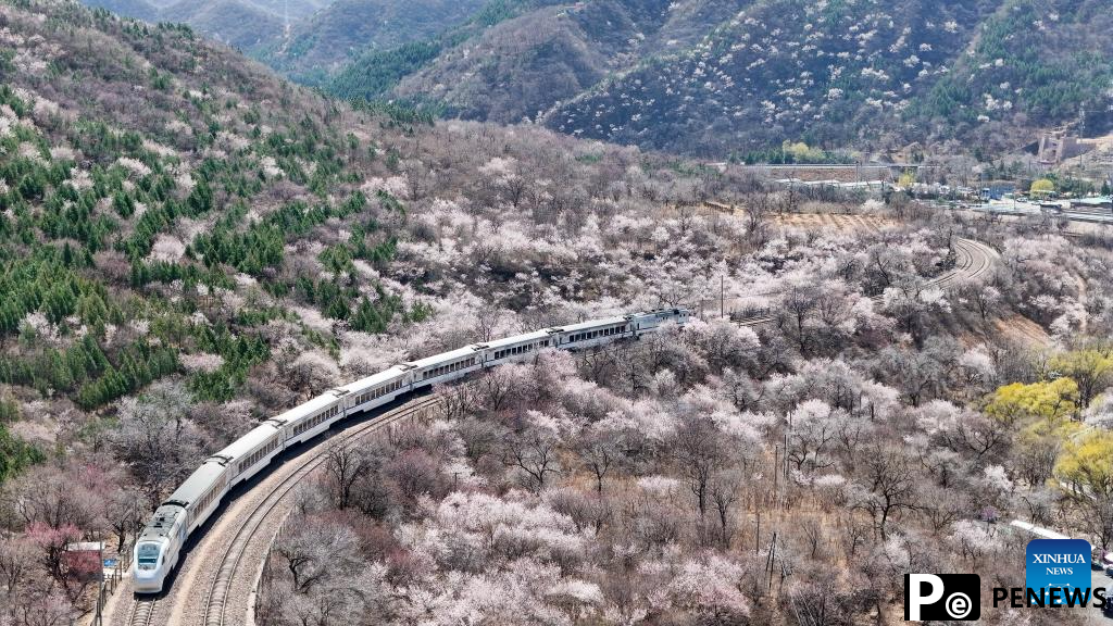 On a train bound for spring