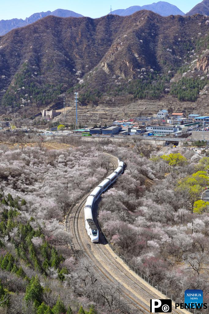 On a train bound for spring