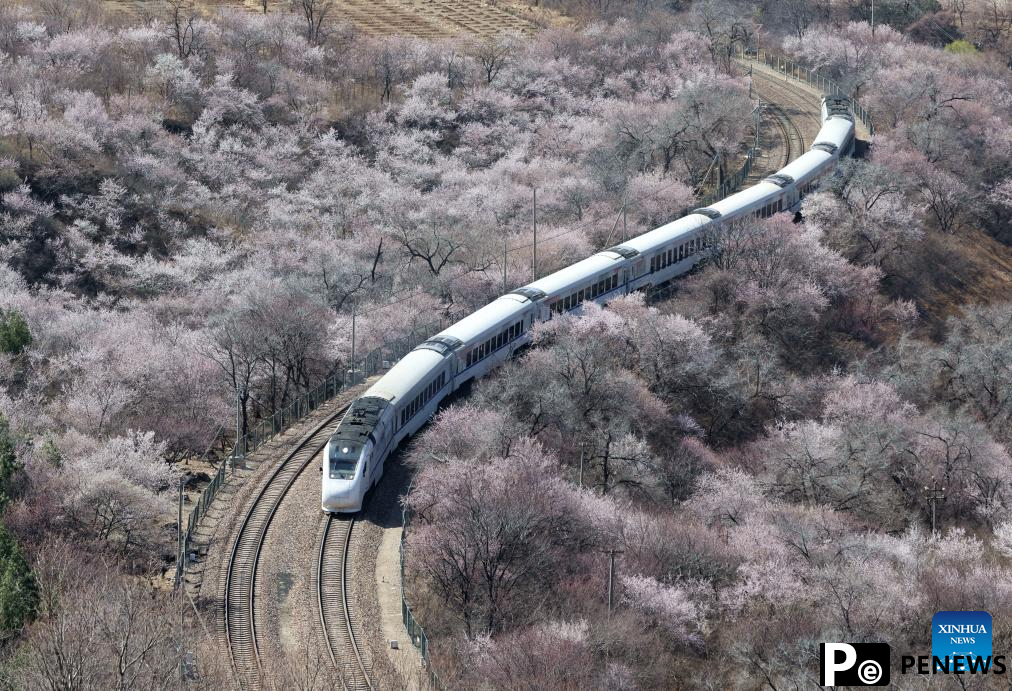 On a train bound for spring