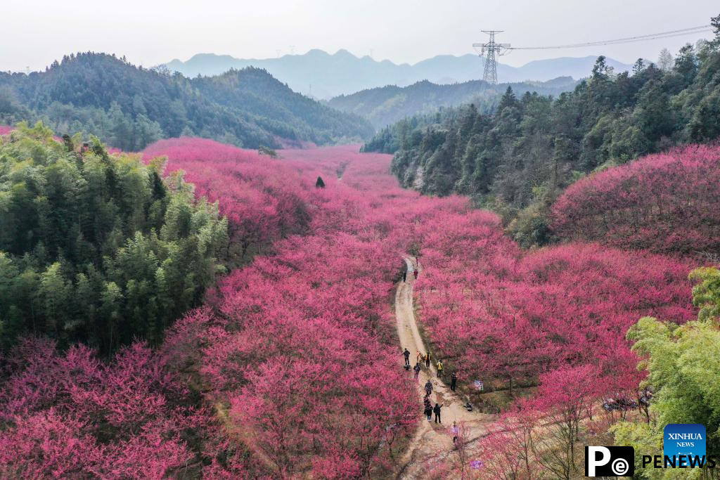 Spring scenery in Zhejiang