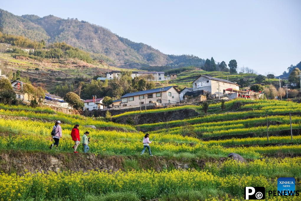 Spring scenery in Zhejiang