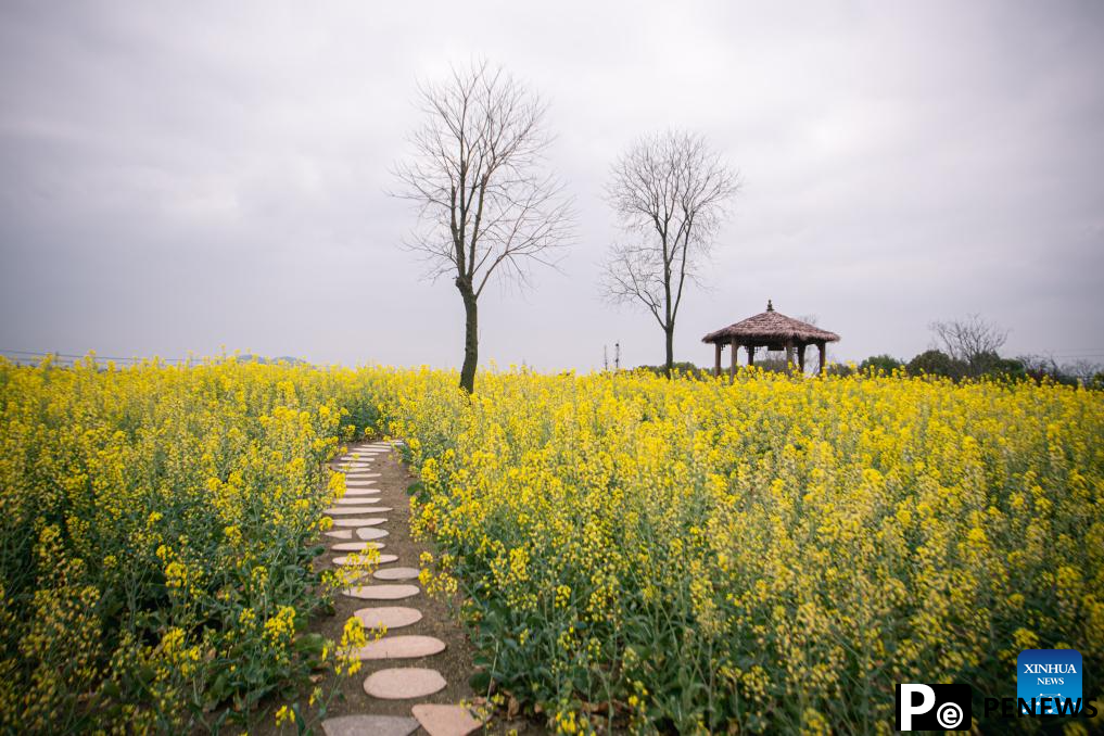 Spring scenery in Zhejiang