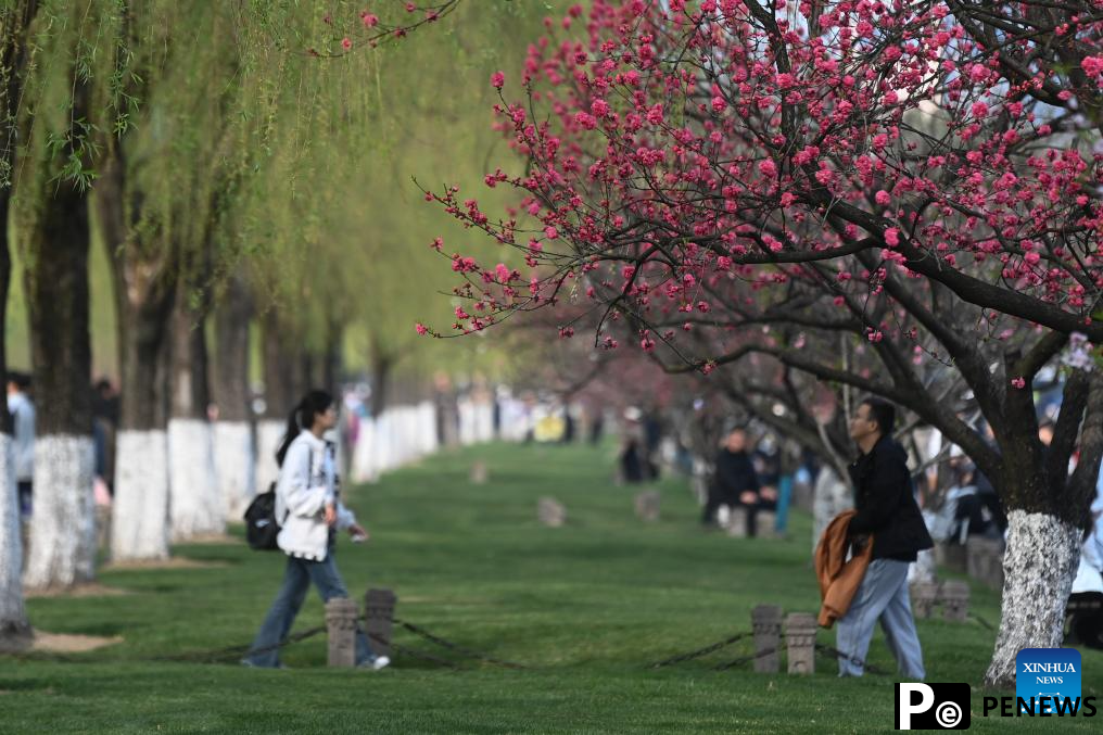 Spring scenery in Zhejiang