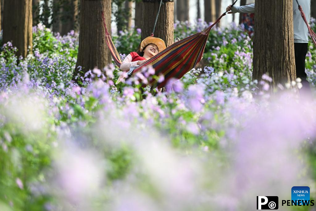 Scenery of Jinhu water forest scenic spot in Jiangsu