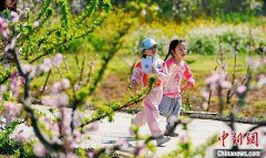 Guiyang, SW China's Guizhou launches diverse activities to upgrade flower viewing tours