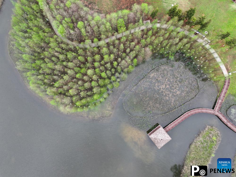 View of Hunan Songya Lake national wetland park in central China