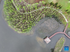View of Hunan Songya Lake national wetland park in central China