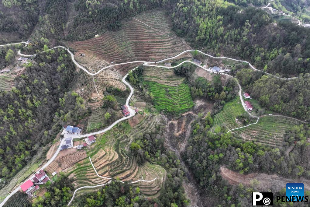 Scenery of Gouyuan Township in Xunyang, NW China