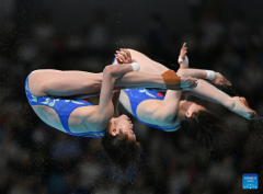 China takes home four golds, Australia one in Diving World Cup in Xi'an