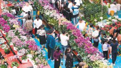 Thriving flower industry boosts tourism in SW China's Yunnan