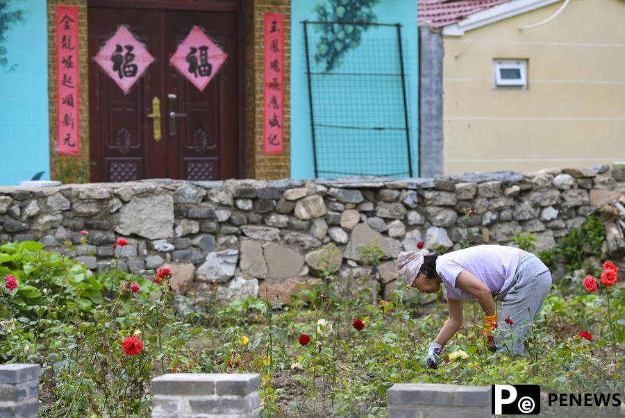 Village in Beijing develops tourism relying on Great Wall resources