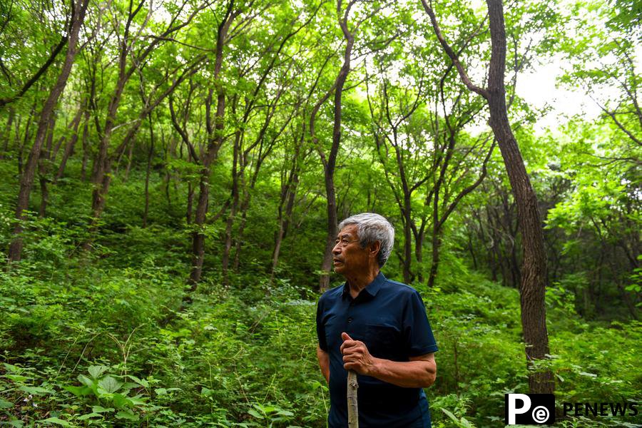 Village in Beijing develops tourism relying on Great Wall resources
